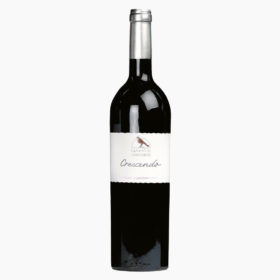 Vin Merlot Cabernet Franc 75cl Gamme Crescendo Domaine de Chantegrive