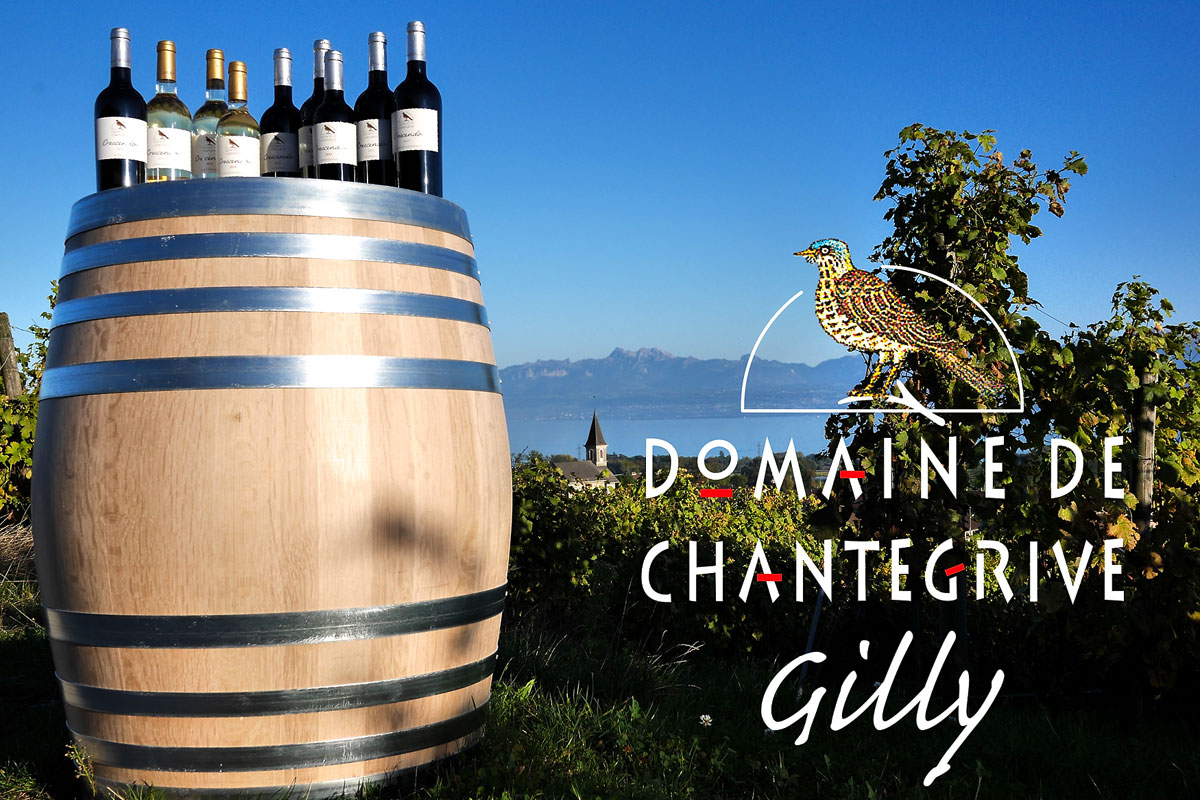 Dégustation de vins au Domaine de Chantegrive