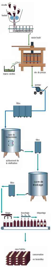 Vinification blanc