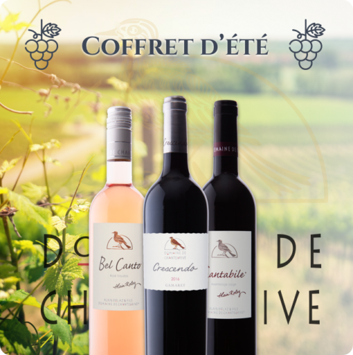 summer-box-wines-domain-chantegrive