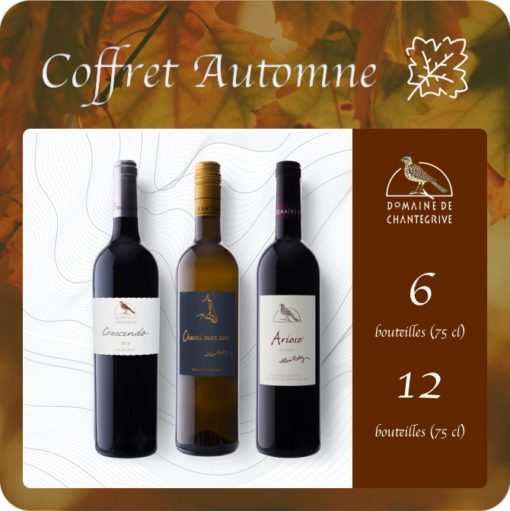 coffret automne 2020 - Chantegrive