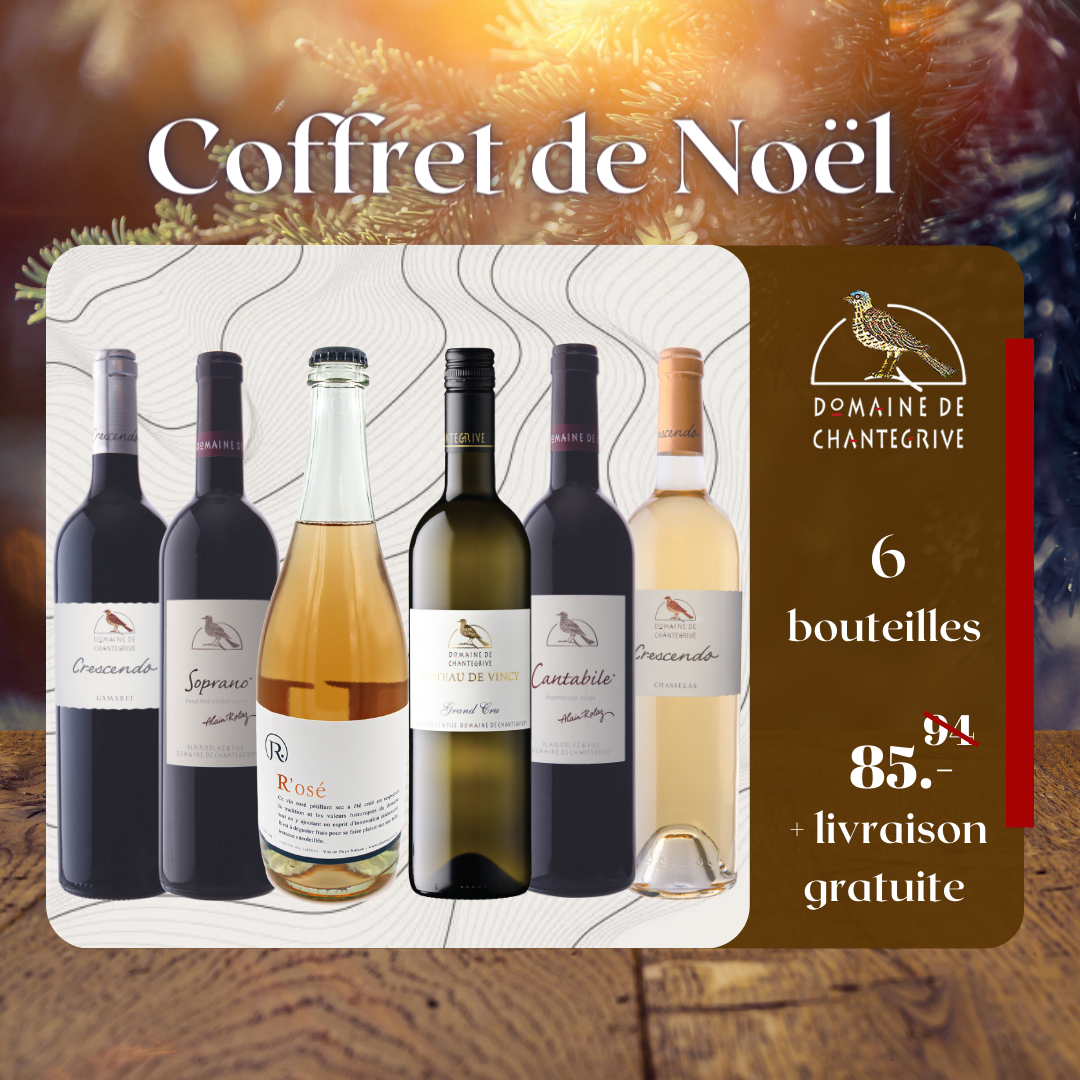 Coffret de Noël 2021