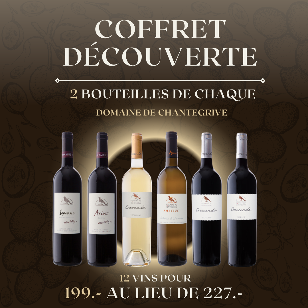 Coffret découverte Domaine de Chantegrive