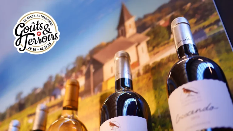 Bannière Goûts et Terroirs Domaine de Chantegrive